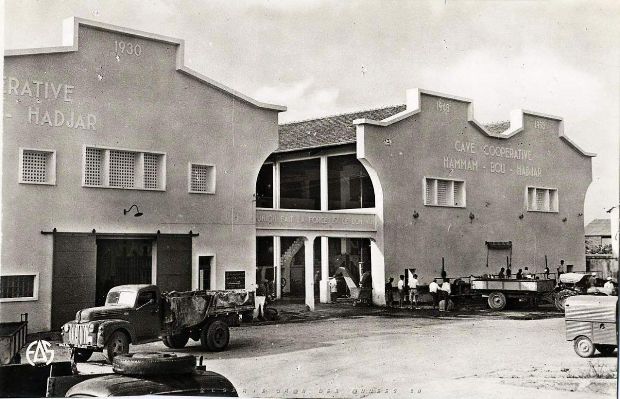 Hammam bou hadjar 520- Cave cooperative COLLECTION DES AMIS DE ND DE SANTA CRUZ.jpg